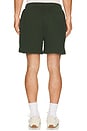 view 2 of 4 Mid Century Distressed Sweatshorts in Forest