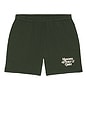 view 4 of 4 Mid Century Distressed Sweatshorts in Forest