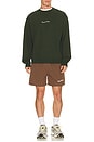 view 3 of 5 Wordmark Seersucker Shorts in Brown