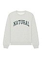 view 1 of 4 Natural Crewneck in Heather