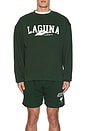 view 3 of 4 Laguna Crewneck in Forest