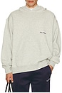 view 4 of 5 Wordmark Hoodie in Ash