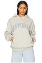 view 1 of 4 Natural Hoodie in Ash