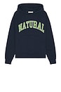 view 1 of 4 Natural Hoodie in Navy