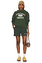 view 4 of 4 Varsity Hoodie in Forest