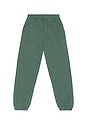 view 2 of 5 Warped Sweatpants in Fern