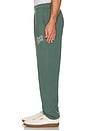 view 4 of 5 Warped Sweatpants in Fern