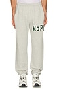 view 4 of 6 University Sweatpants in Heather