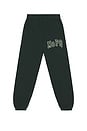 view 1 of 6 University Sweatpants in Pine