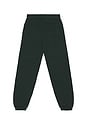 view 2 of 6 University Sweatpants in Pine