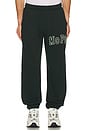 view 4 of 6 University Sweatpants in Pine