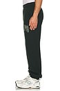 view 5 of 6 University Sweatpants in Pine