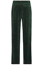 view 2 of 6 Wordmark Velour Pants in Pine