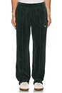 view 4 of 6 Wordmark Velour Pants in Pine
