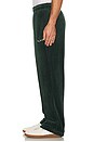 view 5 of 6 Wordmark Velour Pants in Pine