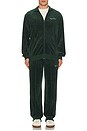 view 6 of 6 Wordmark Velour Pants in Pine
