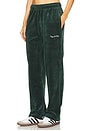 view 3 of 6 Wordmark Velour Pants in Pine