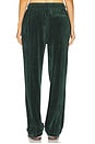 view 4 of 6 Wordmark Velour Pants in Pine