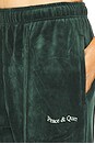view 5 of 6 Wordmark Velour Pants in Pine