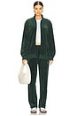 view 6 of 6 Wordmark Velour Pants in Pine