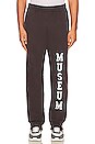 view 1 of 5 Varsity Sweatpants in Brown