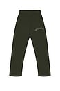 view 1 of 6 Naturalist Sweatpants in Forest