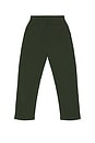 view 2 of 6 Naturalist Sweatpants in Forest