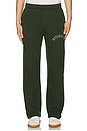 view 3 of 6 Naturalist Sweatpants in Forest
