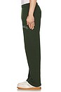 view 4 of 6 Naturalist Sweatpants in Forest