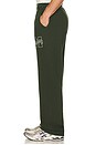 view 2 of 5 Banner Sweatpants in Forest