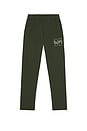 view 5 of 5 Banner Sweatpants in Forest