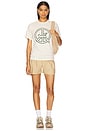 view 4 of 4 Peaceful Dove Tee in Bone