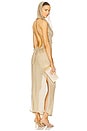 view 1 of 6 Hood Dress in Netted