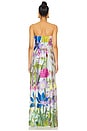 view 3 of 3 In the Garden Ursa Dress in Garden