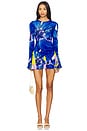 view 1 of 4 On Hold Phoenix Mini Dress in Garden