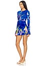 view 3 of 4 On Hold Phoenix Mini Dress in Garden