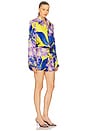 view 2 of 4 in The Garden Classic Shirt Dress in Garden