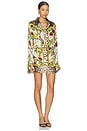 view 2 of 3 Ispahan Tailored Shirt Dress in Multi