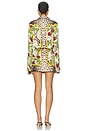 view 3 of 3 Ispahan Tailored Shirt Dress in Multi