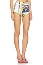 view 2 of 6 Understory Hot Shorts in Multi