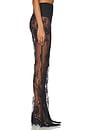 view 3 of 6 Laced Tailored Pant in Black