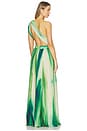 view 5 of 5 Affluent Maxi Dress in River Print