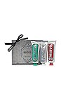 view 1 of 1 Travel with Flavour Set in Classic, Whitening & Cinnamon