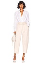 view 4 of 4 Adler Canvas Balloon Pant in Chiffon