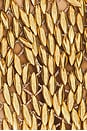 view 5 of 5 Adora Hand Crochet Beaded Halter Top in Bronze