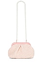 view 5 of 5 POCHETTE CROCHET in Pearl Blush