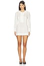 view 1 of 5 Ruffle Placket Mini Dress in White