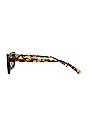 view 3 of 5 LUNETTES DE SOLEIL ALYX in Tortoise & Brown