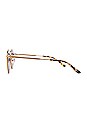 view 3 of 5 GAFAS DE SOL SYD in Gold & Black Gradient