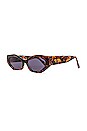 view 2 of 5 Blayne Sunglasses in Tortoise